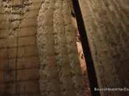 Jenny Apach - Disappeared On Arrival 2(2016) 2