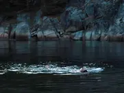 Elena Wolff - schweben. (2021)