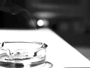 Laura Facchin - Sovrumanisilenzi (2012)