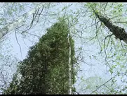 Six girls running nude - High Test Girls 1980