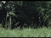 Girls nude run- Six Swedish Girls in a Boarding School