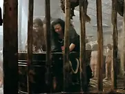 Group shower -Blindman (1971)