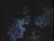 Jennifer Nash - Invisible (1993)