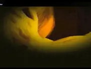 Marina Anna Eich The Passion of Life