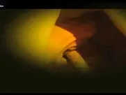 Marina Anna Eich The Passion of Life