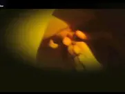 Marina Anna Eich The Passion of Life