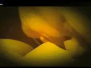 Marina Anna Eich The Passion of Life