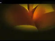 Marina Anna Eich The Passion of Life