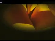 Marina Anna Eich The Passion of Life