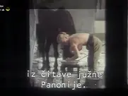 Olivera Viktorović Sex partijski neprijatelj br.1