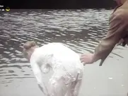 Olivera Viktorović Sex partijski neprijatelj br.1