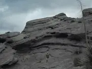 Malin Åkerman - The Aviary (2022)