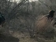 Malin Åkerman - The Aviary (2022)