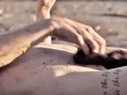 Dimitra Vlagopoulou - Animal (2023)