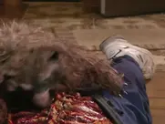 Jessa Flux shower scene