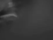 Cristina Areia - Playboy