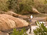 Adelaide Sousa - A joia de Africa (2002)