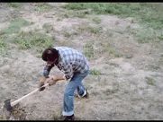 Bobbie Bresee as Susan Walker - Mausoleum (1983)