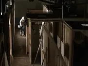 Natasa Janjic Medancic as Lidija - You Carry Me (2015)