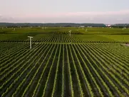 The Colossal Failure of the Modern Relationship (2014)