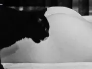 Eva Ras - Ljubavni slučaj ili tragedija službenice P.T.