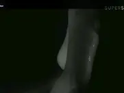 Neda Arnerić - Ukleti smo, Irina 1973