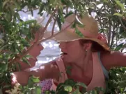 Lea Thompson - Casual Sex? (1988) - Nudist Beach