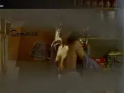 Milica Milša - Ledina 2003