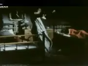 Andrijana Videnović - Smrt godišnjeg doba 1988