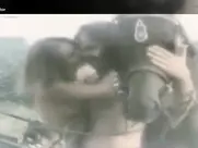 Andrijana Videnović - Smrt godišnjeg doba 1988