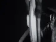 Alexia Rasmussen as Sophie - Creative Control (2015)