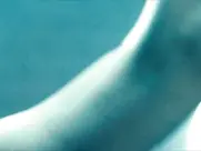 Cyd Schulte as Hot Babe - The Flock (2007)