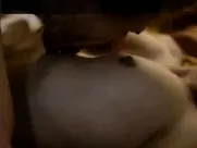 Jana Milić - Odjebi, volim te 2017