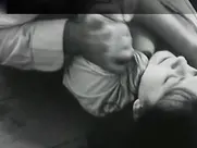 Jagoda Kaloper - Lisice 1969