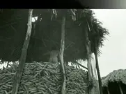 Želimira Žujović - Sveti pesak 1968