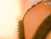 Eva Habermann Great Scenes