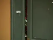 Nos chers voisins "Can I borrow some sugar?"