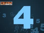 Top 5 Celebrity Flashers