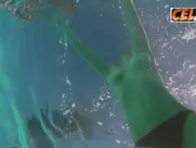 Amanda Seyfried Great Scenes