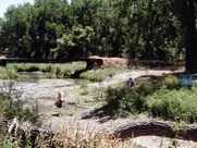 Lili Taylor - Bright Angel (1990)