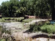 Lili Taylor - Bright Angel (1990)