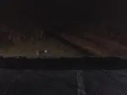 Summer Phoenix as Carla Moebius - The Believer (2001)