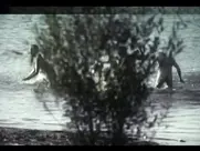 Branka Petrić - Uloga moje porodice u svjetskoj revoluc