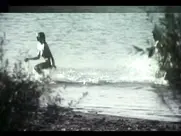 Branka Petrić - Uloga moje porodice u svjetskoj revoluc