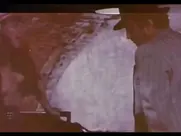 Elizabeta Đorevska - Atoski vrtovi - Preobraženje 1989