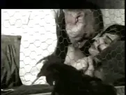 Dragana Mrkić - Večita slavina 1994