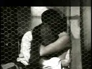 Dragana Mrkić - Večita slavina 1994