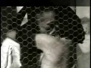 Dragana Mrkić - Večita slavina 1994