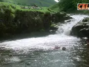 Emma Thompson Great Scenes