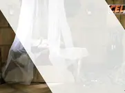 Elizabeth Kaitan Great Scenes